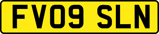 FV09SLN