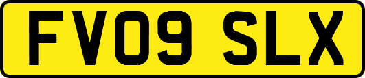 FV09SLX