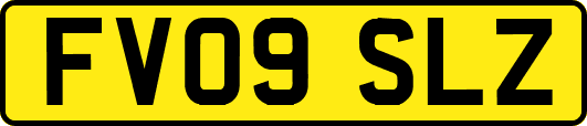 FV09SLZ