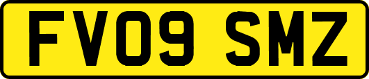 FV09SMZ