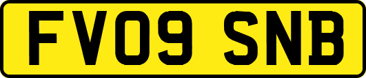 FV09SNB
