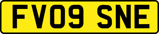 FV09SNE