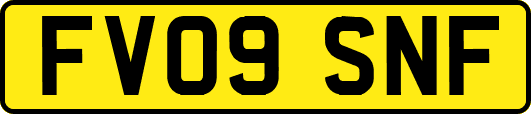 FV09SNF