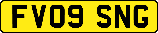 FV09SNG