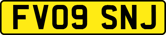 FV09SNJ