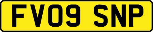 FV09SNP