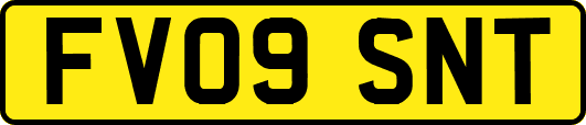 FV09SNT