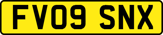 FV09SNX