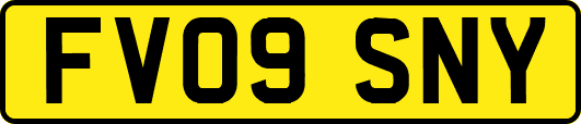 FV09SNY