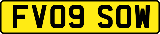 FV09SOW