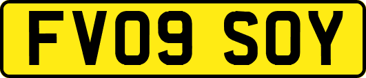 FV09SOY