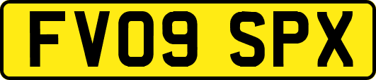 FV09SPX