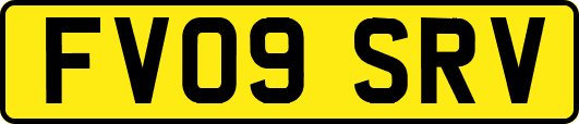 FV09SRV