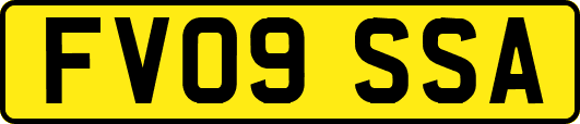 FV09SSA