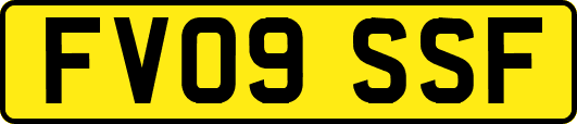 FV09SSF
