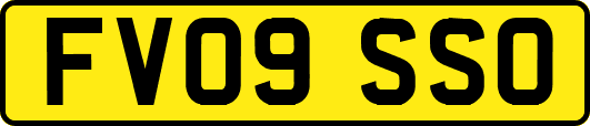 FV09SSO