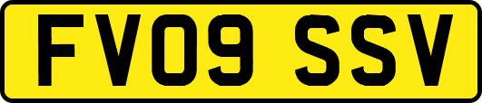 FV09SSV