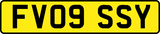 FV09SSY