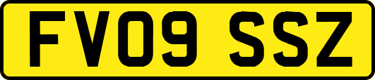 FV09SSZ