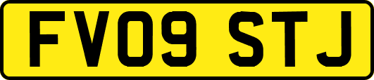 FV09STJ