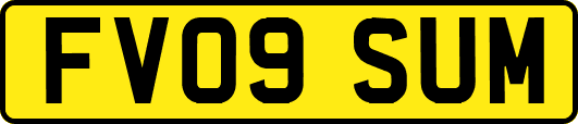 FV09SUM