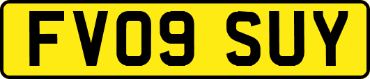 FV09SUY