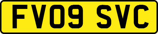 FV09SVC