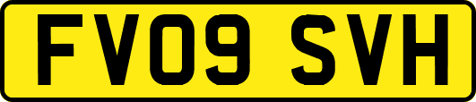 FV09SVH