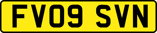 FV09SVN