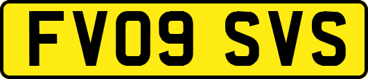 FV09SVS