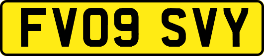 FV09SVY