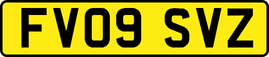 FV09SVZ