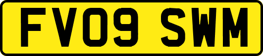 FV09SWM