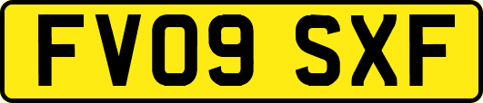 FV09SXF