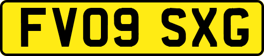 FV09SXG