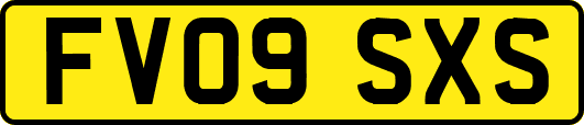FV09SXS