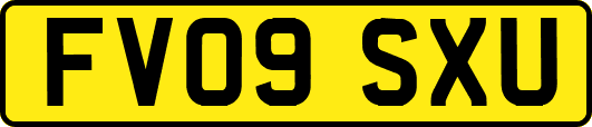 FV09SXU