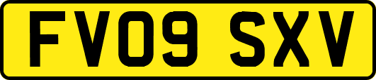 FV09SXV