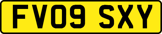 FV09SXY