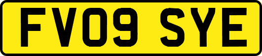 FV09SYE
