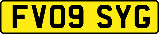 FV09SYG