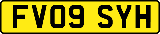 FV09SYH