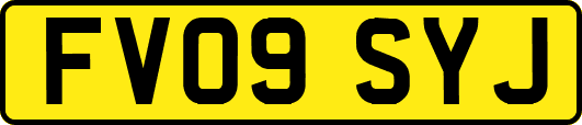 FV09SYJ