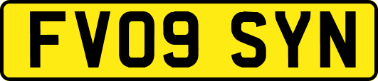 FV09SYN