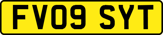 FV09SYT