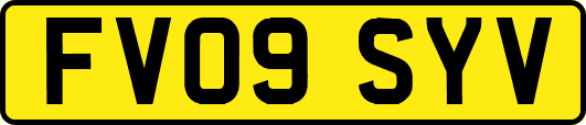 FV09SYV