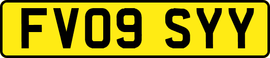 FV09SYY