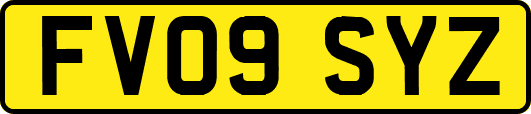 FV09SYZ