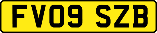 FV09SZB