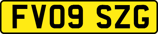 FV09SZG